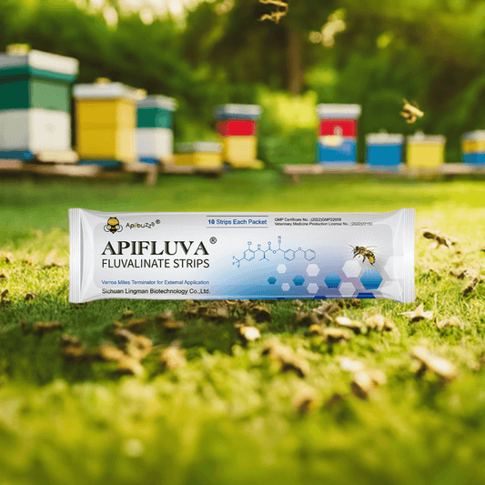 Close-up view of APIFLUVA 10-Count bee mite strips placed on the grass with the apiary background - varroa mite control