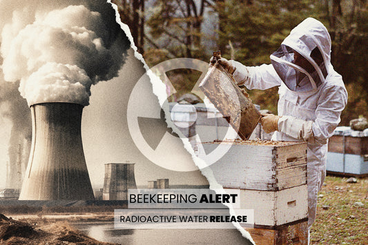 Evaluating the Global Implications of Japan's Radioactive Water Release on the Beekeeping Industry