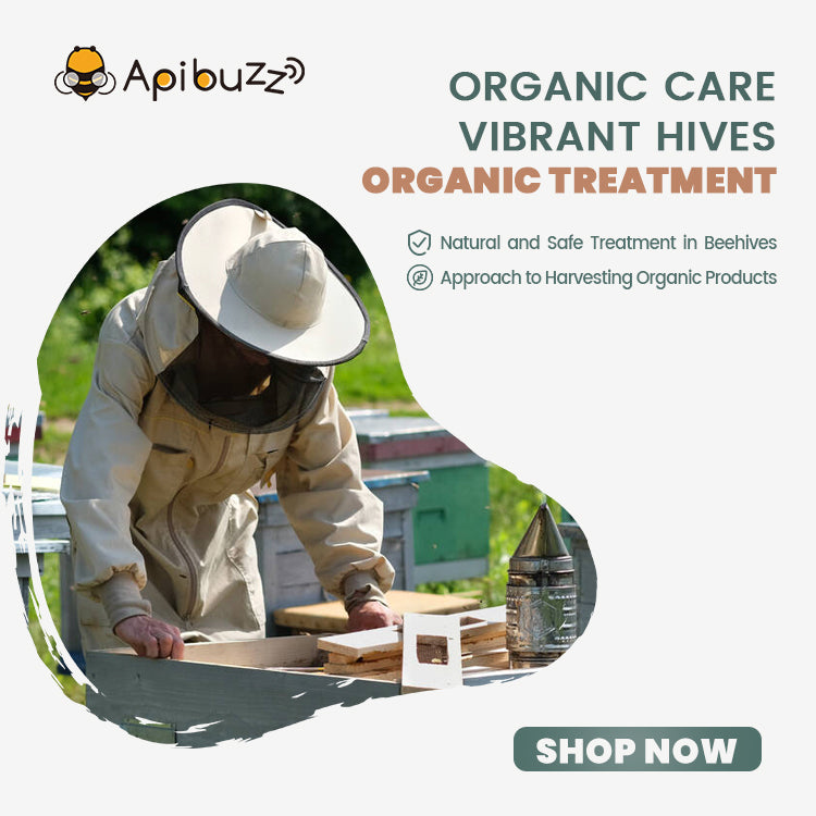 ¿Qué es la Varroasis de las abejas melíferas? Ácaro destructor varroa ...