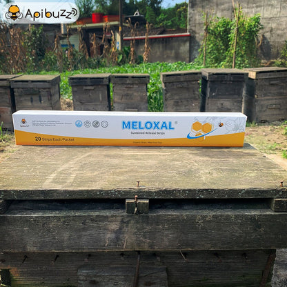 Close-up view of Meloxal strips on a beehive, showing one of the varroa mite oxalic acid treatments​