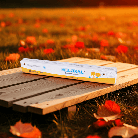 Meloxal strips are placed on a wooden stand in the grass, showing an alternative product when you consider Varroxsan oxalic acid strips where to buy​
