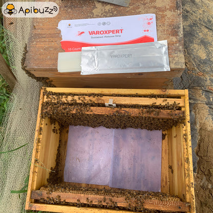 VAROXPERT slow-release amitraz varroa strips used in a beehive for bee hive pest control