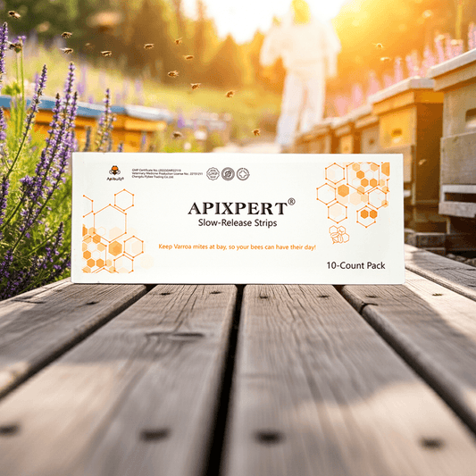 APIXPERT bee mite strips placed on the wooden passway near the beehive – flumethrin bee mite control in apiary setting